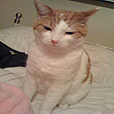 RichTheVillan avatar