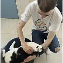tompaulman