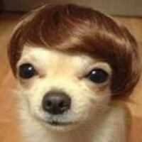 Ibrew2or3's avatar