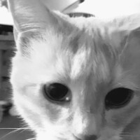 Susiedaisy33's avatar