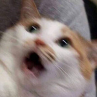 Doc's avatar