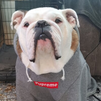 GodOfThunder's avatar