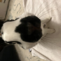 pdog555's avatar