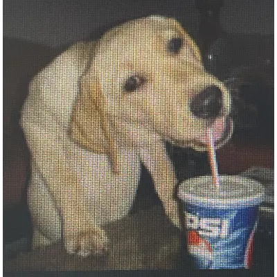 beer_consumer's avatar