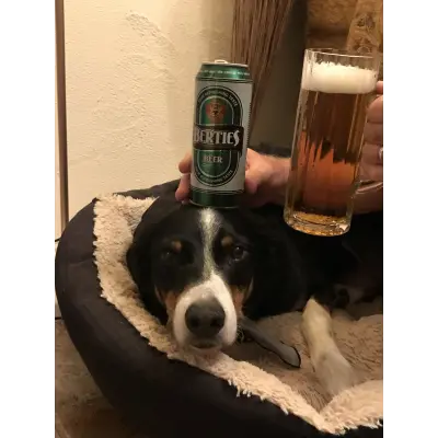 BlackHaddock's avatar